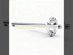 Robot de service, vis de levage de plateau à charge élevée, actionneur linéaire de précision, usinage personnalisé